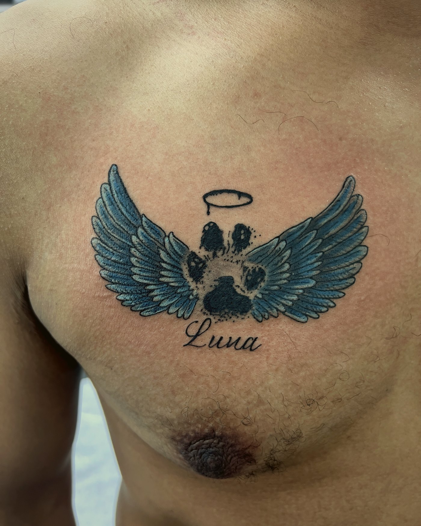 Winged paw print memorial, chest — by Paul Aroca, Crown Ink Studio Brooklyn